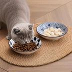 Ceramic Cat Bowls Set of 2, Vintage Blue and White Pet Dog Bowl for Food & Water, 5.5 in Small Kitten Wide Shallow Dishes for Indoor Cats