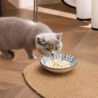 Ceramic Cat Bowls Set of 4, Vintage Blue and White Pet Dog Bowl for Food & Water, 5.5 in Small Kitten Wide Shallow Dishes for Indoor Cats