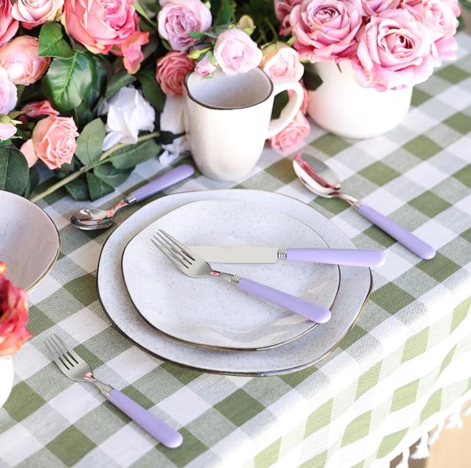 ANNOVA Stainless Steel Colorful Tableware Kitchen Flatware Set Utensils, Includes Dinner Knives, Forks, Spoons, Salad Forks & Dessert Spoons, Modern Rounded Shape (Lilac, 20 Pieces)