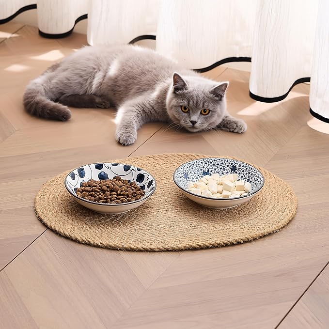 Ceramic Cat Bowls Set of 2, Vintage Blue and White Pet Dog Bowl for Food & Water, 5.5 in Small Kitten Wide Shallow Dishes for Indoor Cats