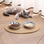 Ceramic Cat Bowls Set of 2, Vintage Blue and White Pet Dog Bowl for Food & Water, 5.5 in Small Kitten Wide Shallow Dishes for Indoor Cats